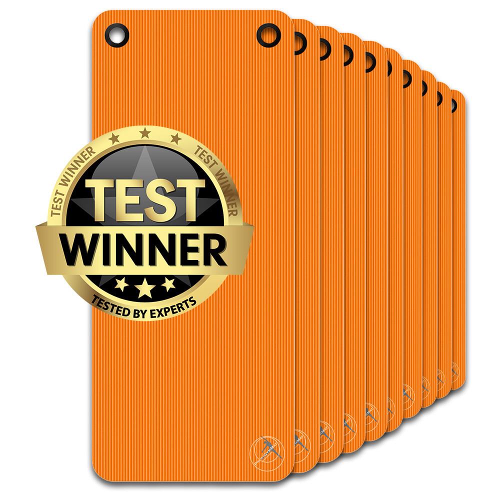 ProfiGymMat Professional 10er Set 140x60cm inkl. Ösen