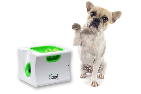 iDog midi Ballwurfmaschine