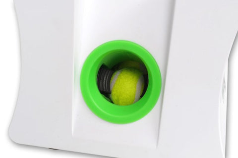 iDog midi Ballwurfmaschine