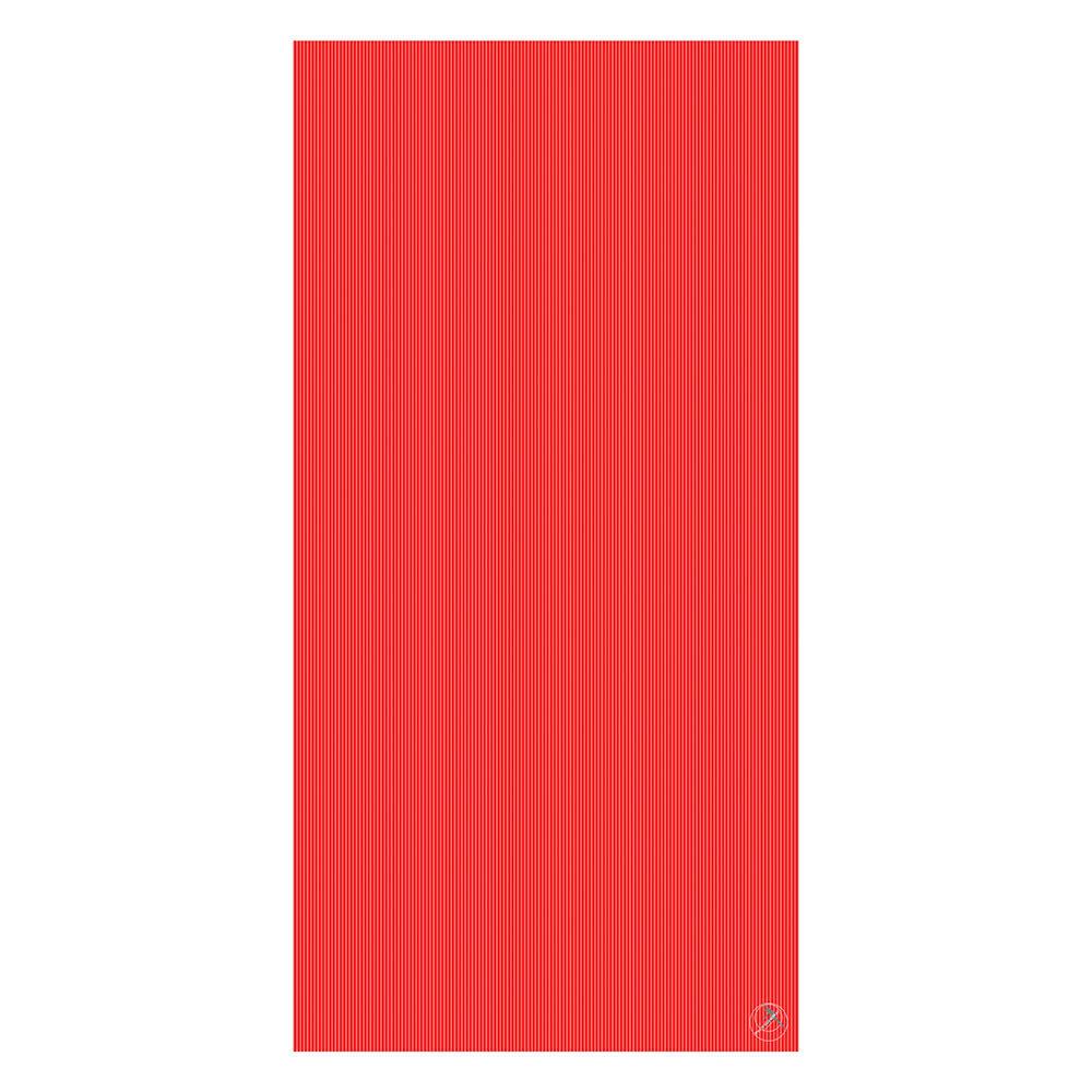 RehaMat Professional 200x100x2,5cm