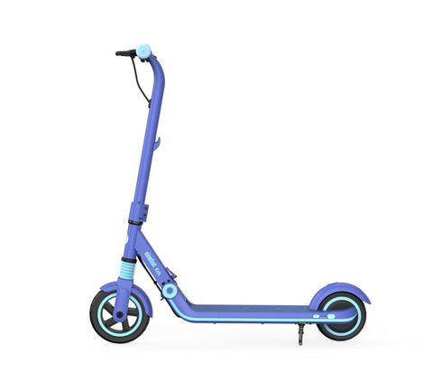 Ninebot eKickScooter ZING E8