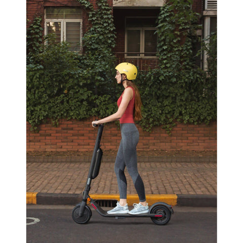 Ninebot KickScooter E45D