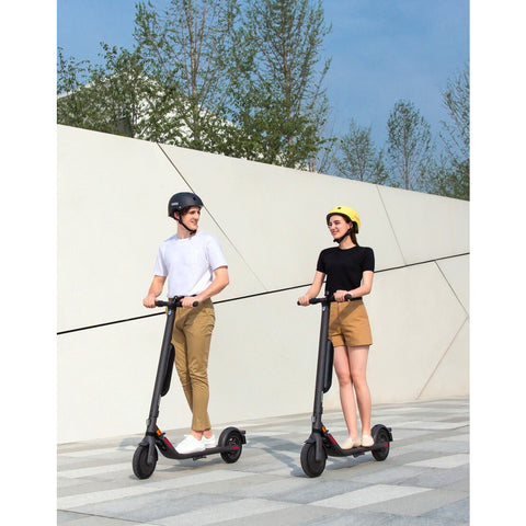 Ninebot KickScooter E45E